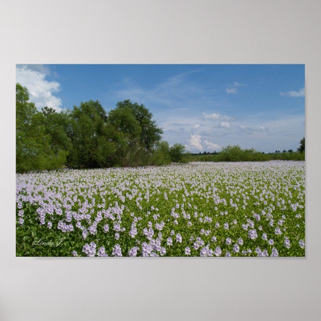 Lippenstift-Blume auf einer Leinwand oder einem Po Poster (Vorne)