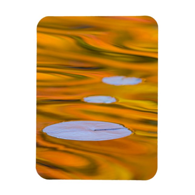 Lippteppich auf Orangenwasser, Kanada Magnet (Vertikal)
