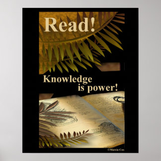 Lire ! la connaissance est Power ! affiche