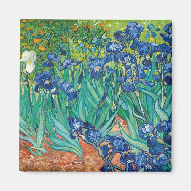 Lirios de Van Gogh Magnet (Vorne)