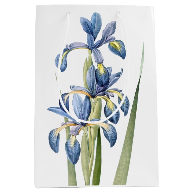 L'iris bleu botanique fleurit le sac floral de (Devant)