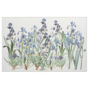 L'iris botanique fleurit le tissu floral de