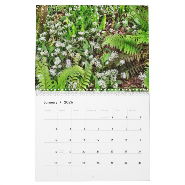 L'Irlande 40 nuances de calendrier vert (Jan 2026)