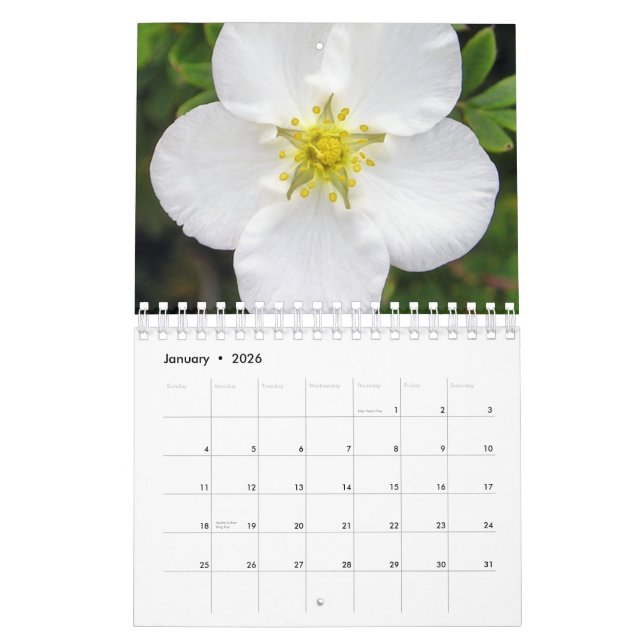 L'Irlande dans le calendrier de fleur (Jan 2026)