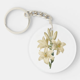 lis blanc (Lilium candidum) par Redouté