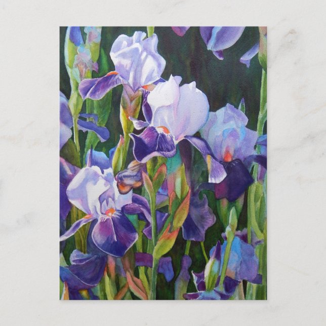Lisas Iris Garden Postkarte (Vorderseite)