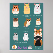 Liste der Hamsterarten
