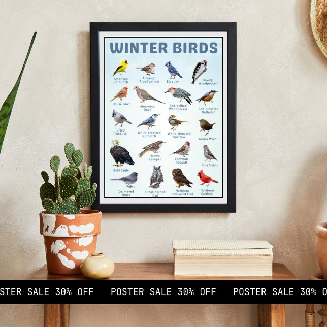 Liste der Wintervögel in den USA Poster (Von Creator hochgeladen)