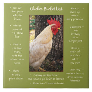 Liste des seaux de poulet de carreaux de trivet