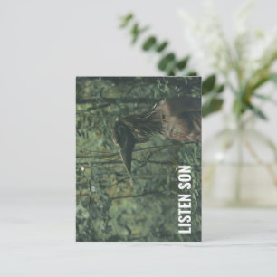 Listen Son Forest Birdman Postkarte