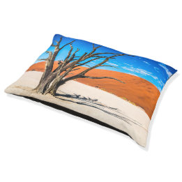 Lit Pour Animaux Arbre mort à Deadvlei, Namibie