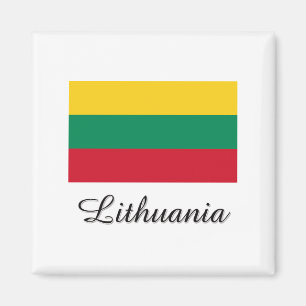 Litauen-Flaggen-Entwurf Magnet