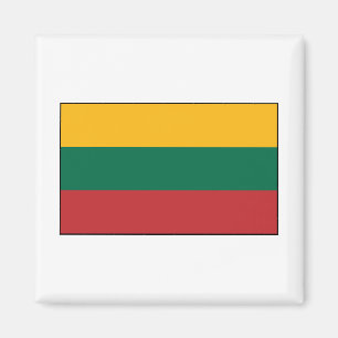 Litauen - litauische Flagge Magnet