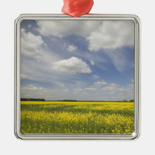 Litauen, Zentral-Litauen, Joniskis, Feld mit Ornament Aus Metall