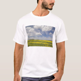 Litauen, Zentral-Litauen, Joniskis, Feld mit T-Shirt