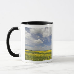 Litauen, Zentral-Litauen, Joniskis, Feld mit Tasse