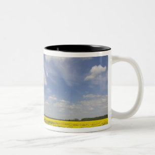 Litauen, Zentral-Litauen, Joniskis, Feld mit Zweifarbige Tasse