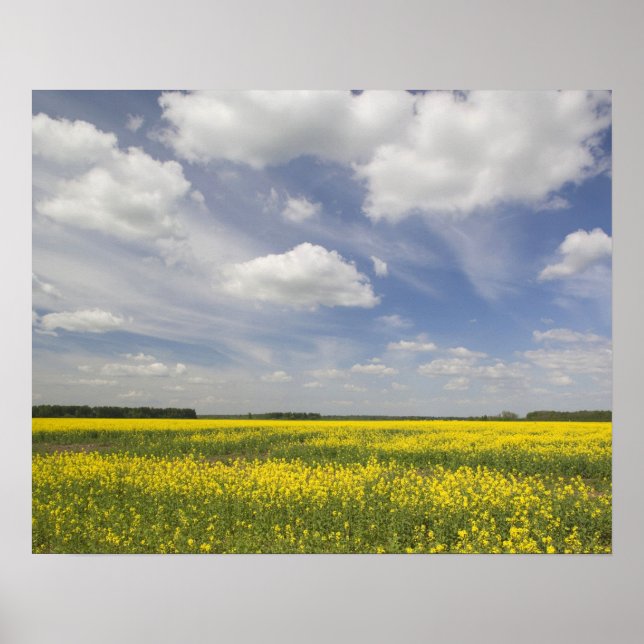 Litauen, Zentrallitauen, Joniskis, Bereich Poster (Vorne)