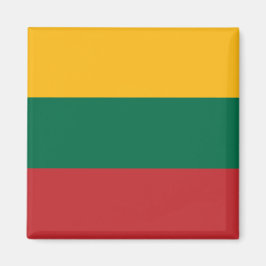 litauische Flagge Magnet