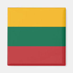 litauische Flagge Magnet