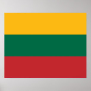 litauische Flagge Poster