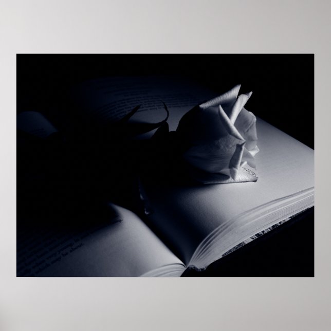 Literarische Rose Poster (Vorne)