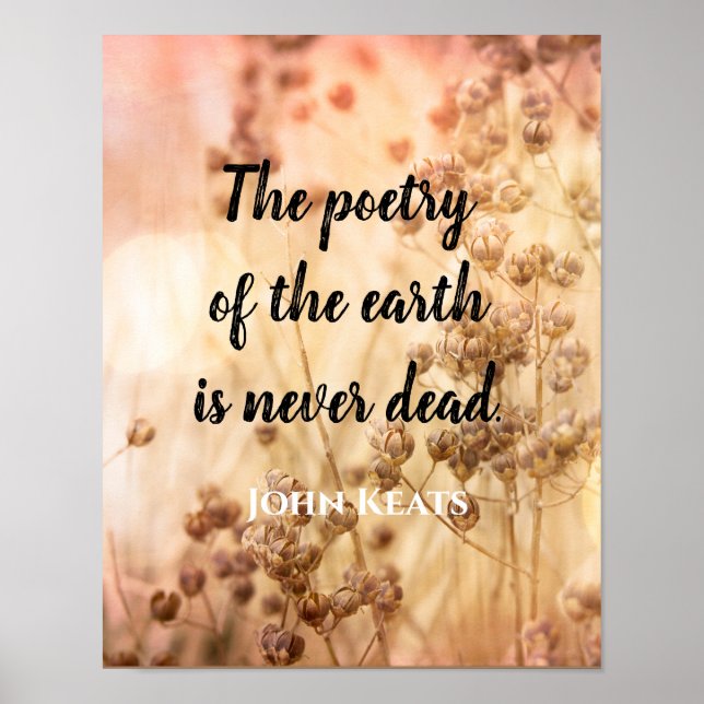 literarischer Zitat Dichter Keats Gedichte der Erd Poster (Vorne)