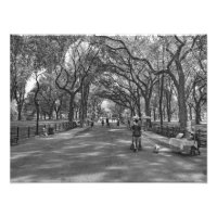 Literaturweg - Central Park, New York