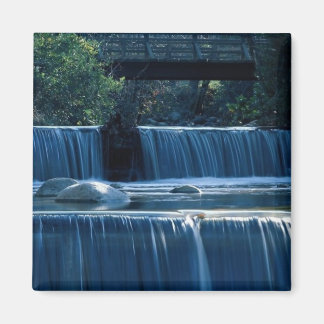 Lithia Park Island, Oregon Magnet