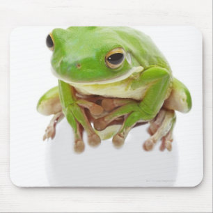 Litora Infrafrenata, Frosch Mousepad