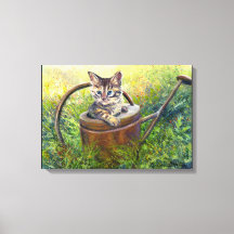 Little Adventurer"