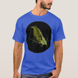 Little Amano Shrimp T-Shirt
