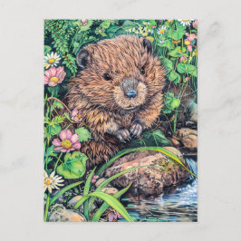 Little Beaver von der Creek Bank Postkarte