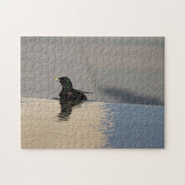 Little Bird (Horizontal)