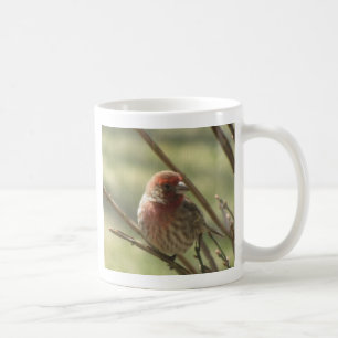 Little Bird auf Leinwand Kaffeetasse