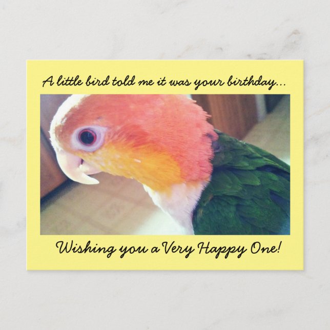 Little Bird Birthday Postkarte (Vorderseite)