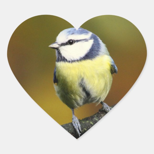 Little Bird Herz-Aufkleber (Vorderseite)