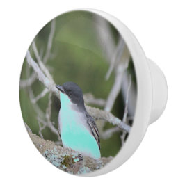 Little Bird in Blau und Grüntöne Schubladen Keramikknauf