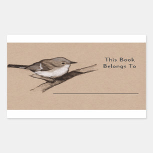 Little Bird in Charcoal: Book Plate: Wildlife Art Rechteckiger Aufkleber