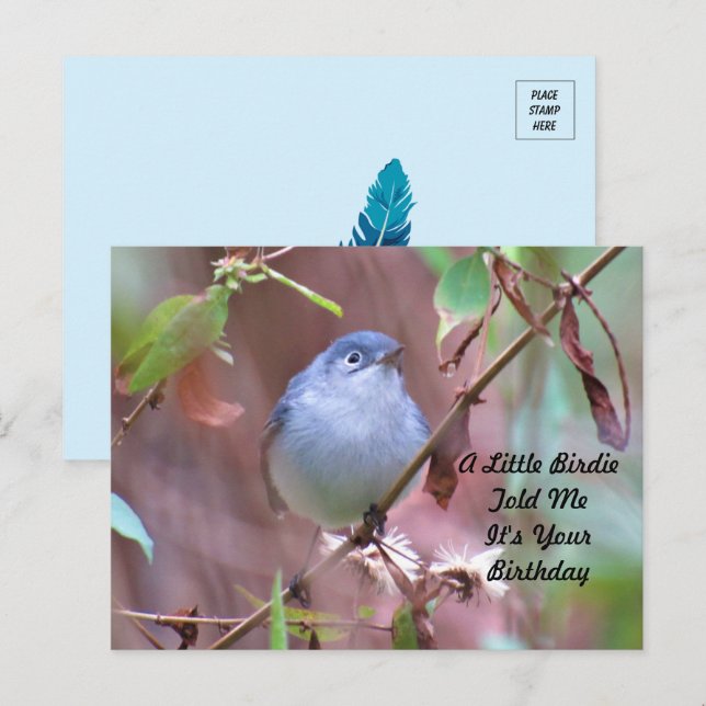 Little Birdie Birthday Postcard Postkarte (Vorne/Hinten)