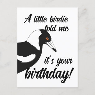 Little birdie m'a dit que c'était ta carte postale