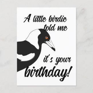 Little birdie m'a dit que c'était ta carte postale