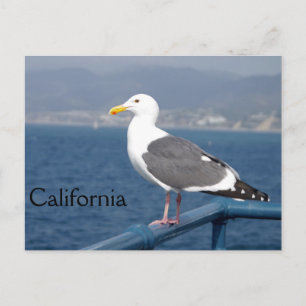 Little Birdy Postkarte