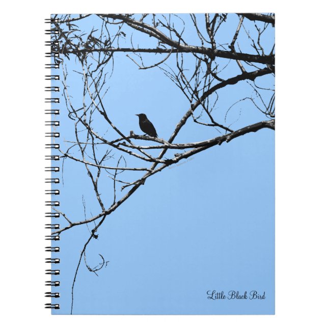 Little Black Bird-Notebook Notizblock (Vorderseite)