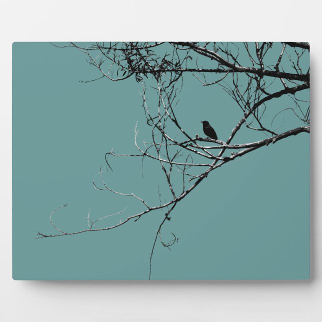 Little Black Bird Plaque Fotoplatte (Vorderseite)