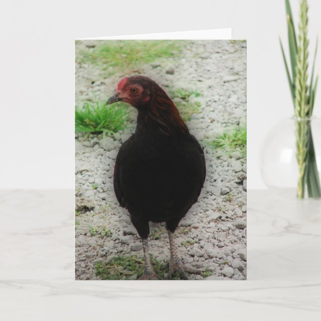 Little Black Rooster Karte (Vorderseite)