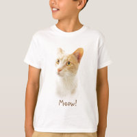Little Blondie Cat Wondering