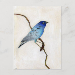 Little Blue 2012 Postkarte