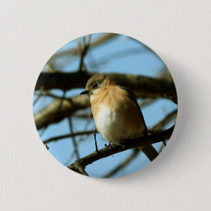 Little Blue Button
