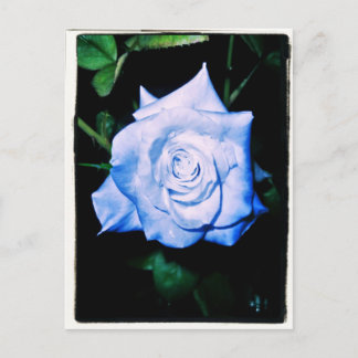 Little Blue Princess Postkarte